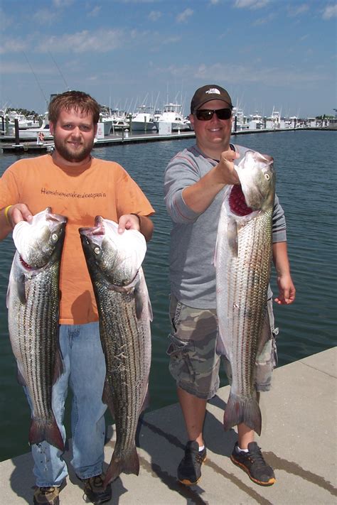 fish report delaware|Iba pa.